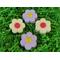 Handmade daisy shaped bath bombs. Individually wrapped. Four per package. Sunflower fragrance.